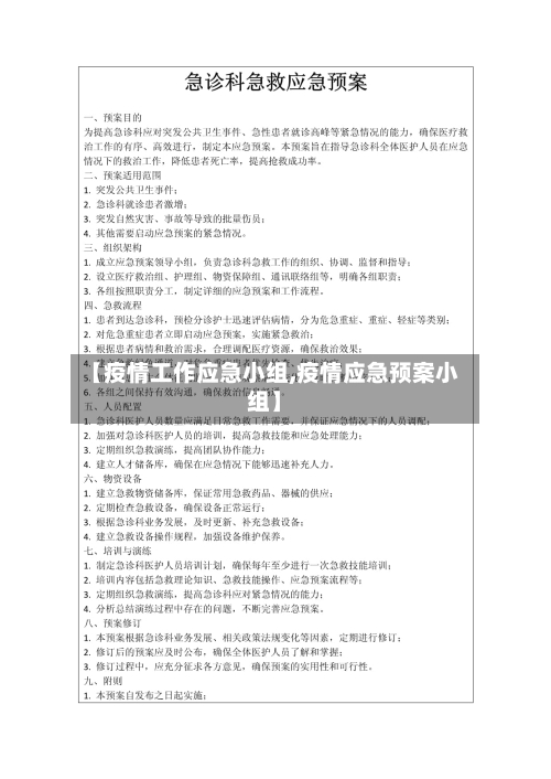 【疫情工作应急小组,疫情应急预案小组】