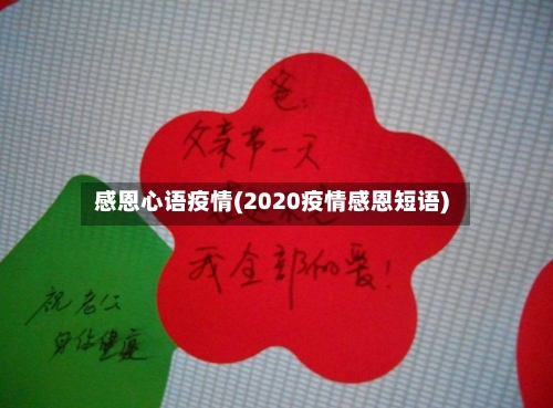 感恩心语疫情(2020疫情感恩短语)-第2张图片