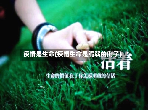 疫情是生命(疫情生命是脆弱的例子)-第2张图片