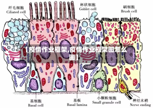 【疫情作业框架,疫情作业框架图怎么画】-第3张图片