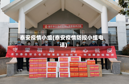 泰安疫情小组(泰安疫情防控小组电话)