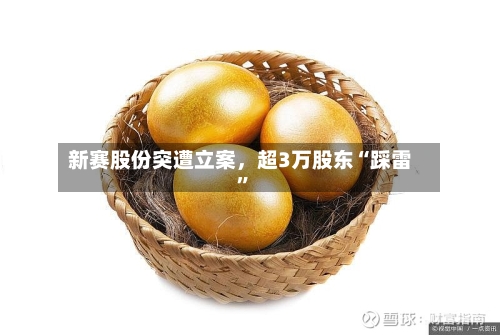 新赛股份突遭立案，超3万股东“踩雷”-第2张图片