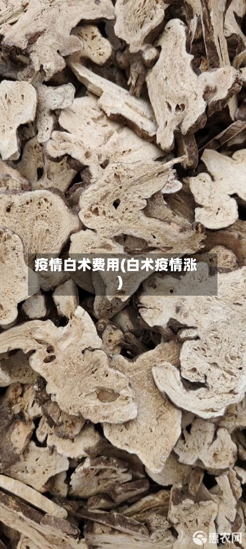 疫情白术费用(白术疫情涨)-第2张图片