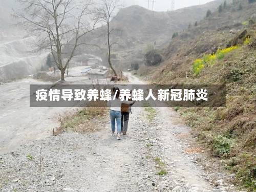 疫情导致养蜂/养蜂人新冠肺炎-第2张图片