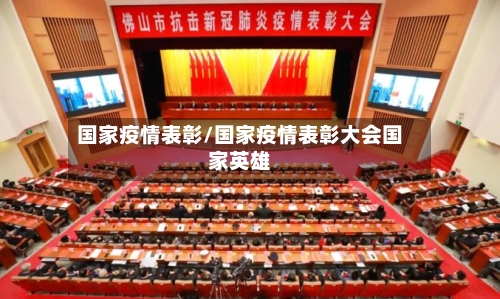 国家疫情表彰/国家疫情表彰大会国家英雄-第2张图片