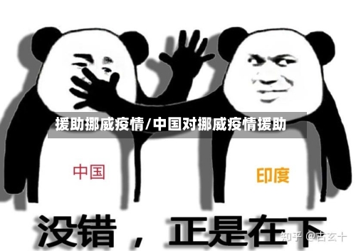 援助挪威疫情/中国对挪威疫情援助