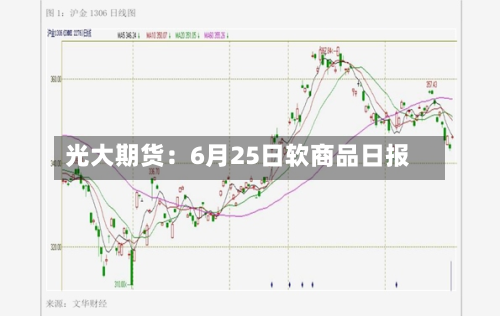 光大期货：6月25日软商品日报