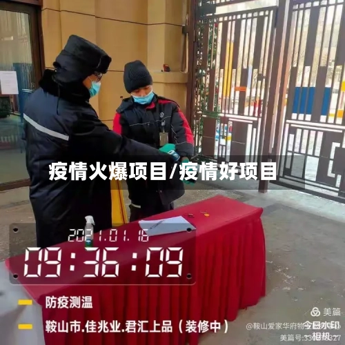 疫情火爆项目/疫情好项目-第2张图片