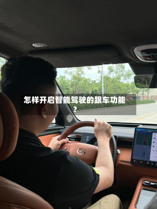 怎样开启智能驾驶的跟车功能？