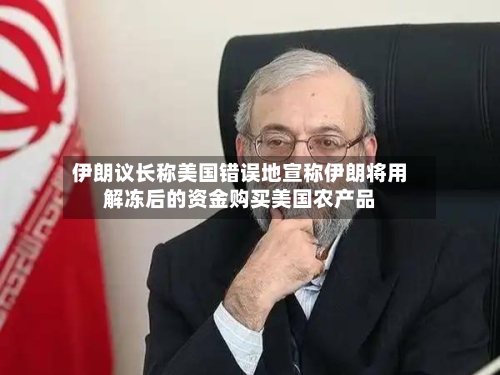 伊朗议长称美国错误地宣称伊朗将用解冻后的资金购买美国农产品