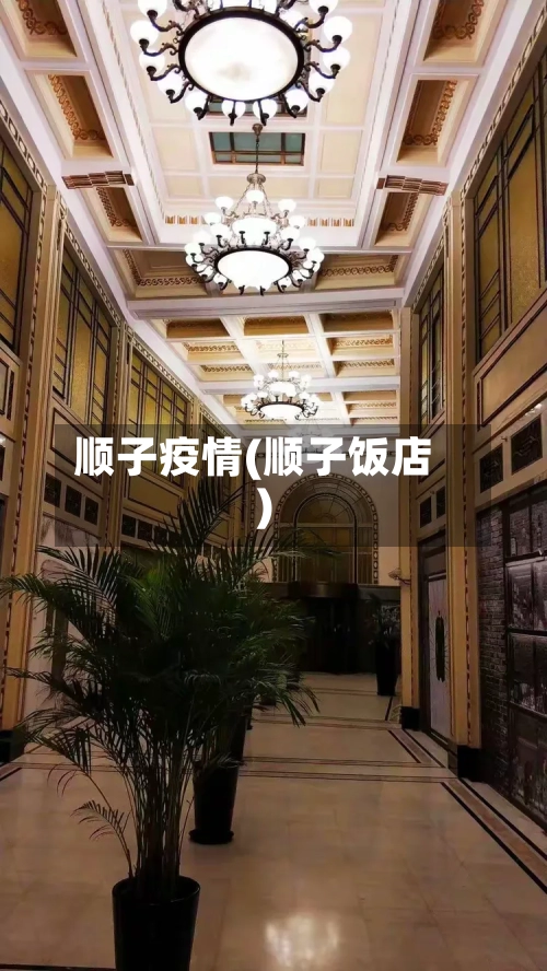 顺子疫情(顺子饭店)-第3张图片
