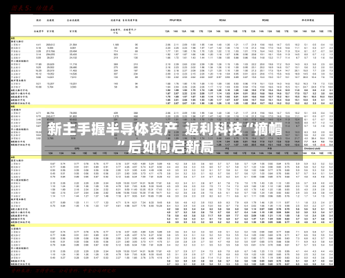 新主手握半导体资产  返利科技“摘帽”后如何启新局-第3张图片