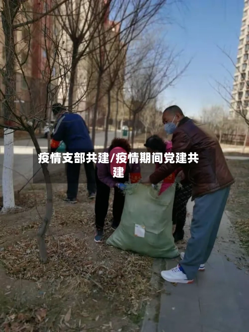 疫情支部共建/疫情期间党建共建-第2张图片