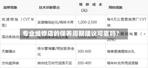专业维修店的保养周期建议可靠吗？-第2张图片
