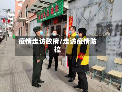 疫情走访政府/走访疫情防控