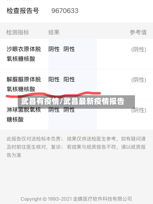 武昌有疫情/武昌最新疫情报告-第2张图片