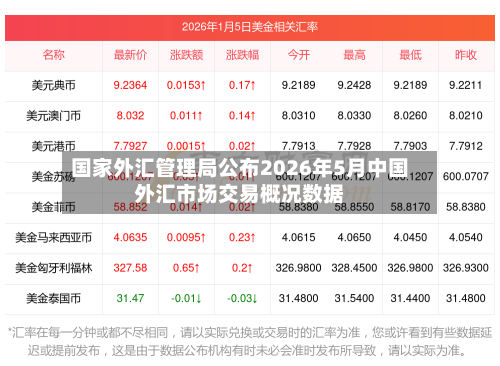 国家外汇管理局公布2026年5月中国外汇市场交易概况数据