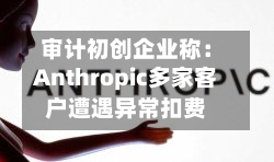 审计初创企业称：Anthropic多家客户遭遇异常扣费-第2张图片