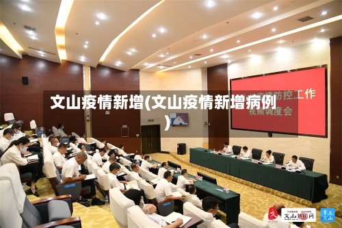 文山疫情新增(文山疫情新增病例)-第3张图片