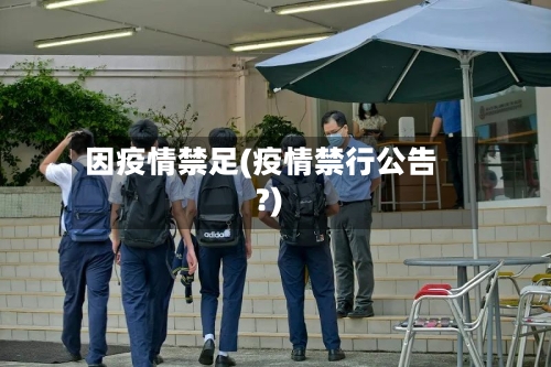 因疫情禁足(疫情禁行公告?)