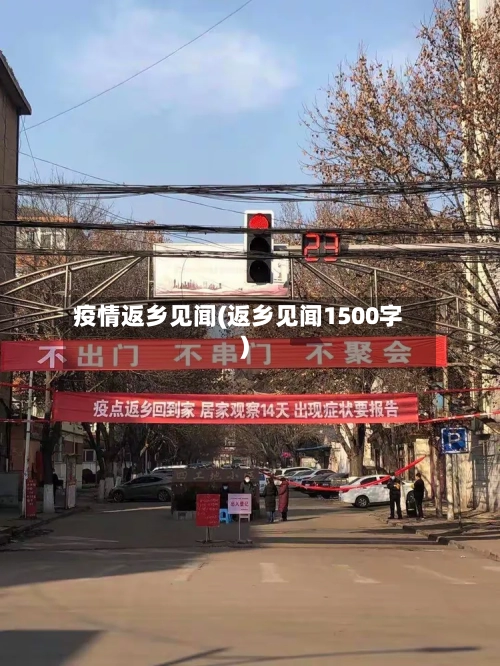 疫情返乡见闻(返乡见闻1500字)