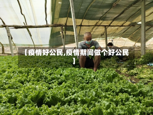 【疫情好公民,疫情期间做个好公民】