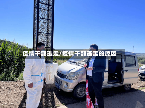 疫情干部逃走/疫情干部逃走的原因-第2张图片