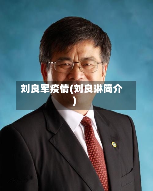 刘良军疫情(刘良琳简介)-第3张图片