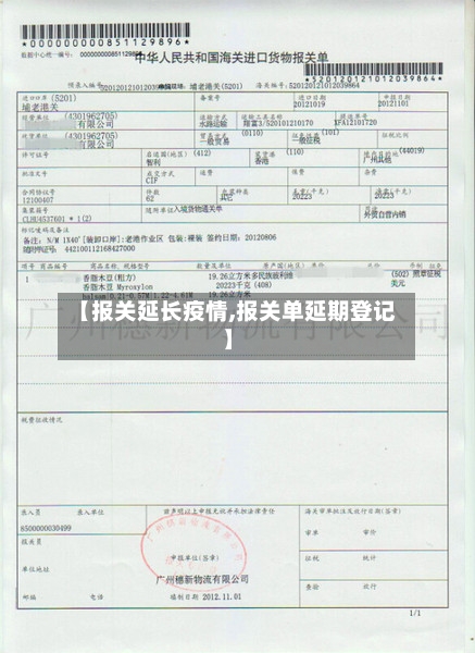 【报关延长疫情,报关单延期登记】-第2张图片