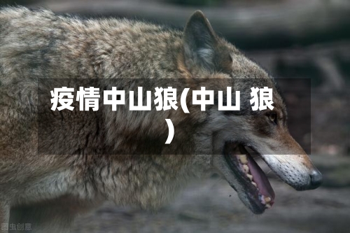 疫情中山狼(中山 狼)-第2张图片