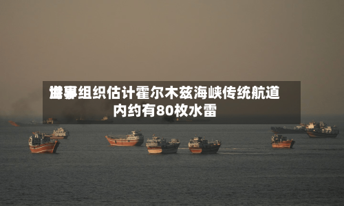 世界海事组织估计霍尔木兹海峡传统航道内约有80枚水雷