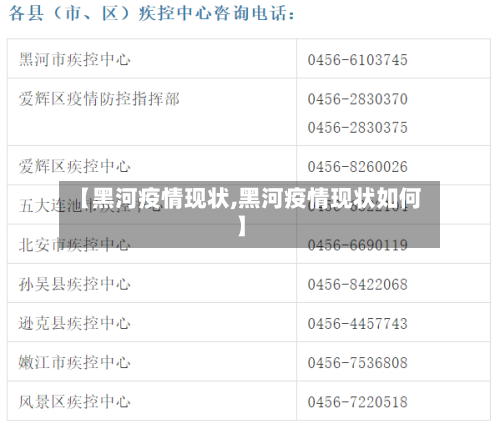 【黑河疫情现状,黑河疫情现状如何】-第2张图片