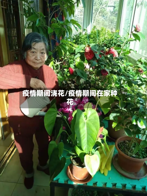 疫情期间浇花/疫情期间在家种花-第3张图片
